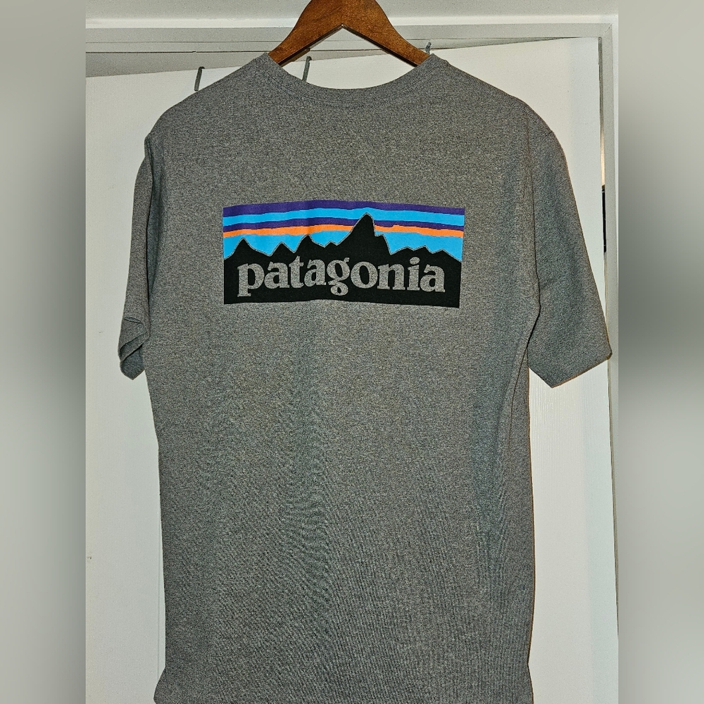 Patagonia Tee Shirt - Medium - EUC